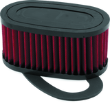 BikeMaster Honda VT750C/CD Shadow ACE/DLX Air Filter