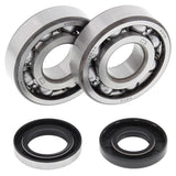 All Balls Racing 1993 Husqvarna CR250 Crank Shaft Bearing Kit